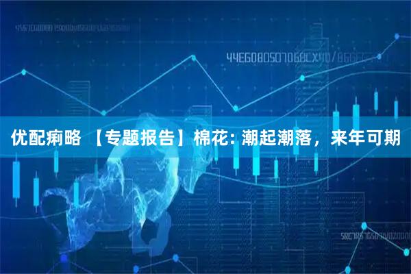 优配痢略 【专题报告】棉花: 潮起潮落，来年可期