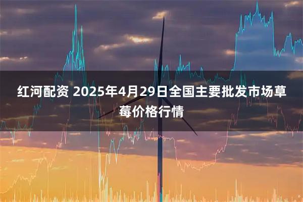 红河配资 2025年4月29日全国主要批发市场草莓价格行情