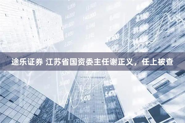 途乐证券 江苏省国资委主任谢正义，任上被查