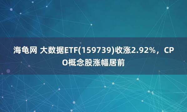 海龟网 大数据ETF(159739)收涨2.92%，CPO概念股涨幅居前