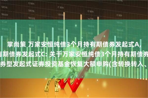 掌尚策 万家安恒纯债3个月持有期债券发起式A,万家安恒纯债3个月持有期债券发起式C: 关于万家安恒纯债3个月持有期债券型发起式证券投资基金恢复大额申购(含转换转入、定期定额投资)业务的公告