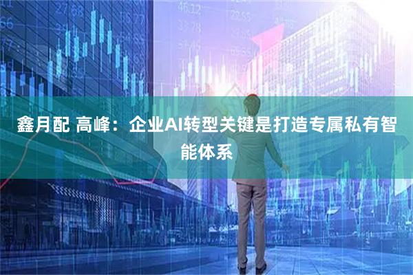 鑫月配 高峰：企业AI转型关键是打造专属私有智能体系